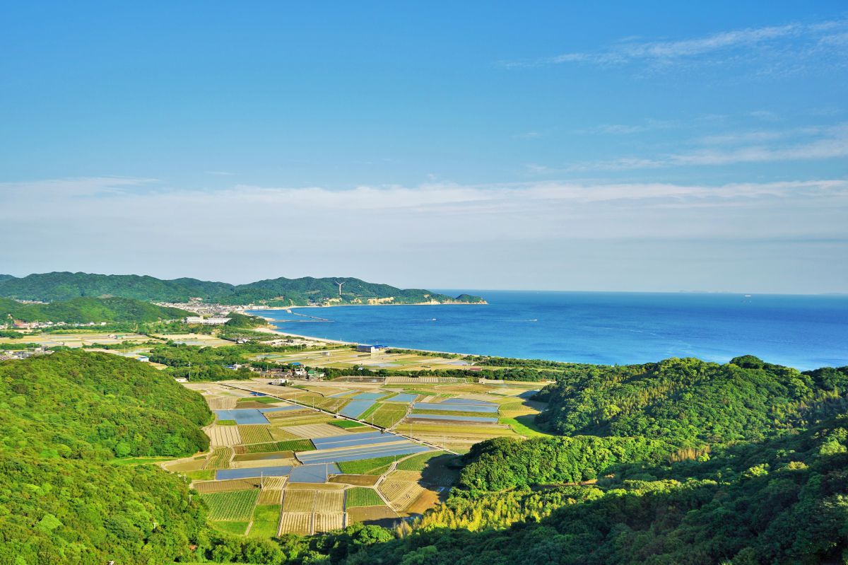 Blue & Green | GANREF
