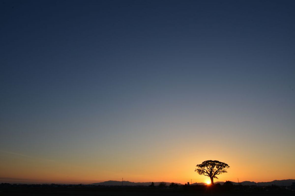 sunset | GANREF