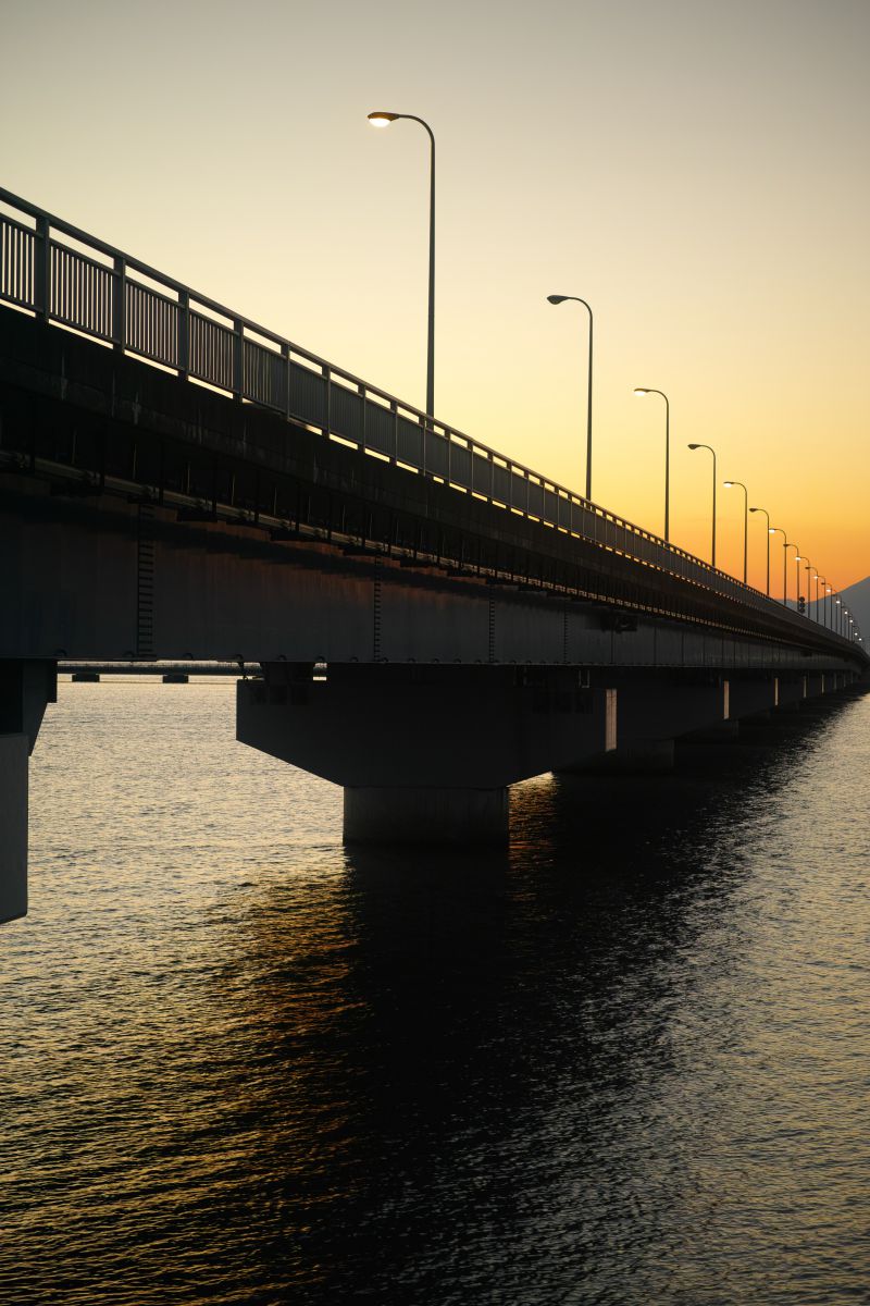 大橋 | GANREF