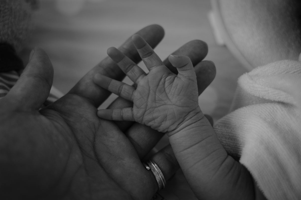 手と手 GANREF 手と手 GANREF