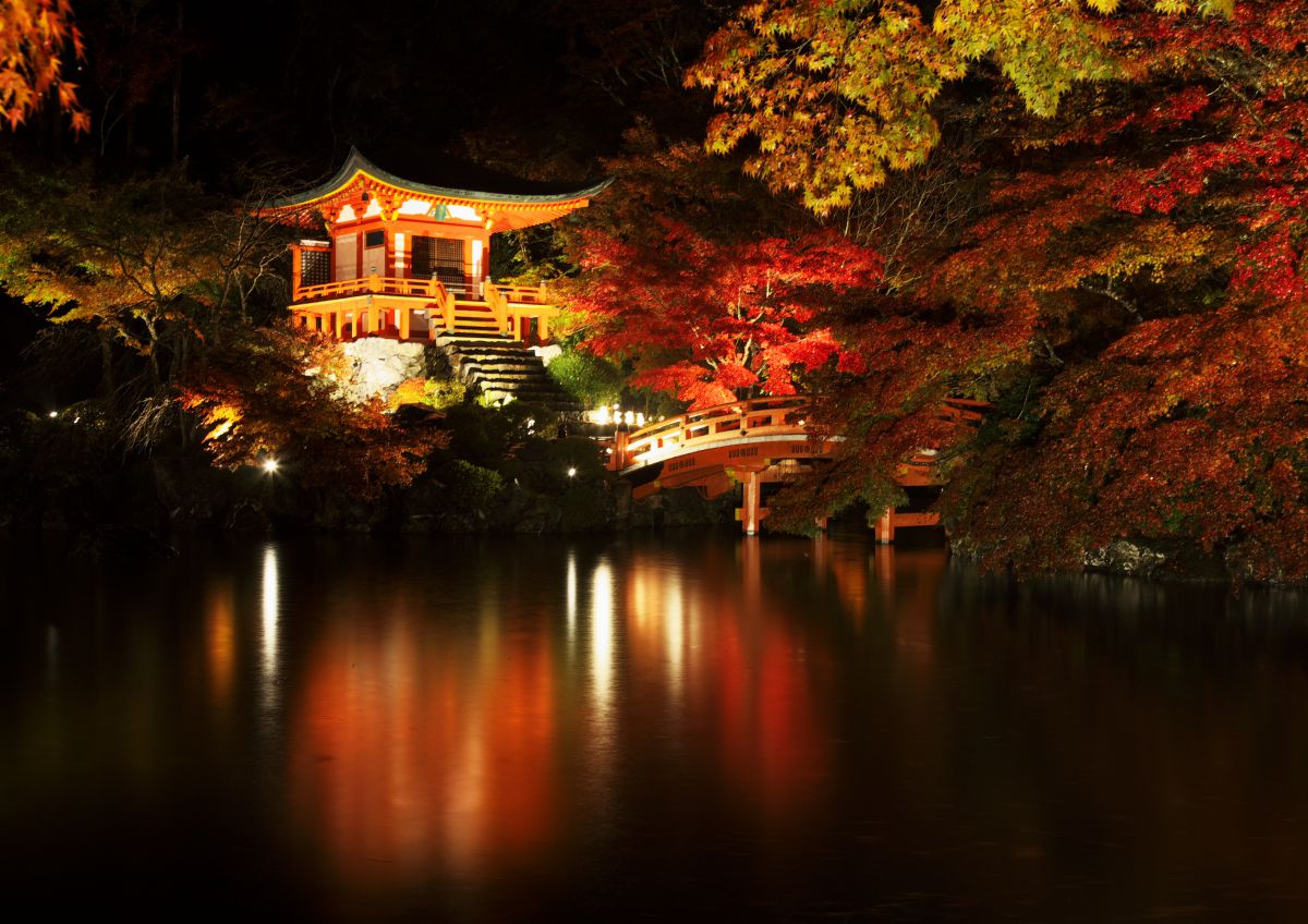 弁天堂の夜紅葉 | GANREF