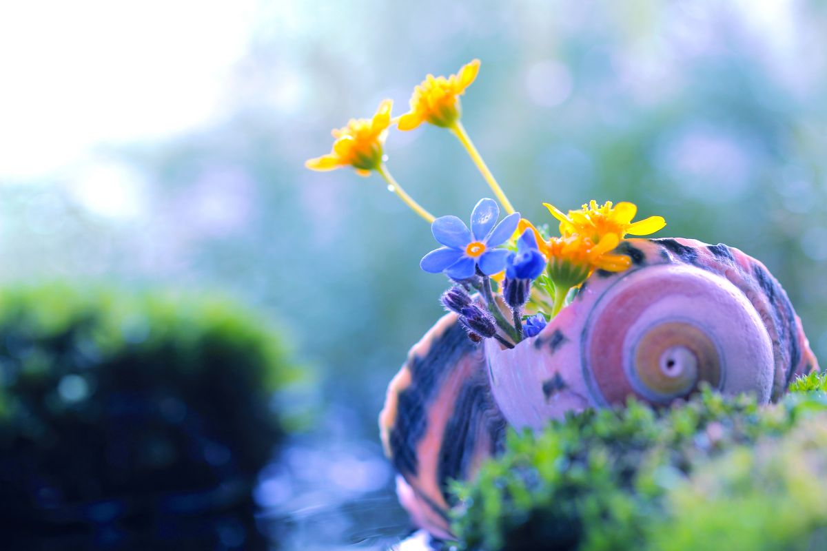 Peaceful morning | GANREF