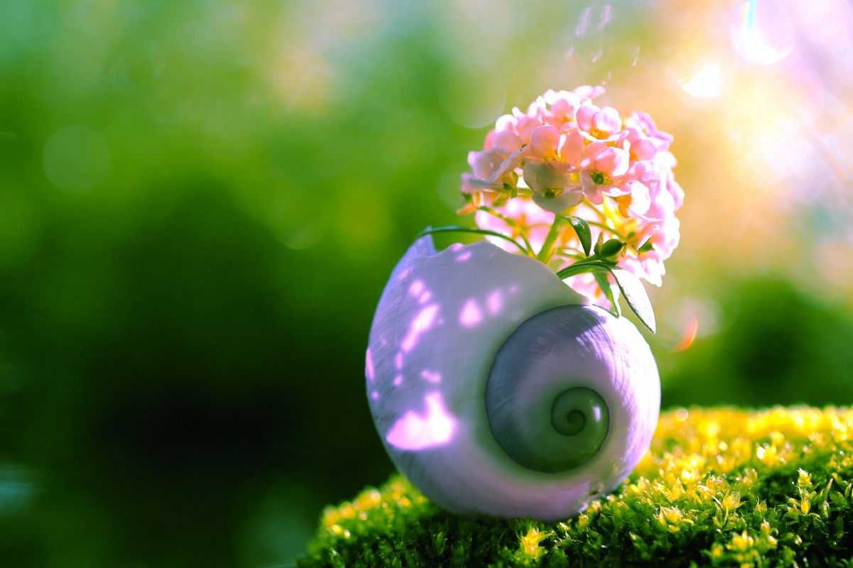 Peaceful afternoon | GANREF