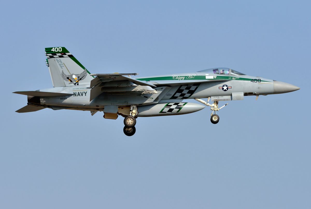 VFA-195 CAG機・春の新色。。。。。。 | GANREF