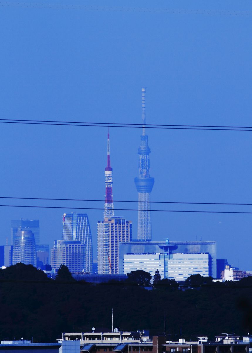 空から日本を見てみようplus(プラス) (1) 東京新旧建物めぐり 東京タワー~東京スカイツリー/古都鎌倉 [DVD] khxv5rg Amazon.co.jp: 空から日本を見てみようplus(プラス) (1) 東京