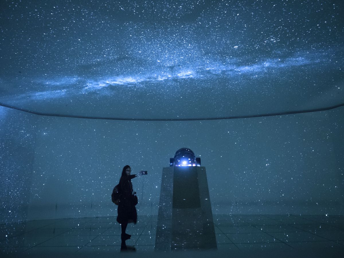 in the starry sky | GANREF