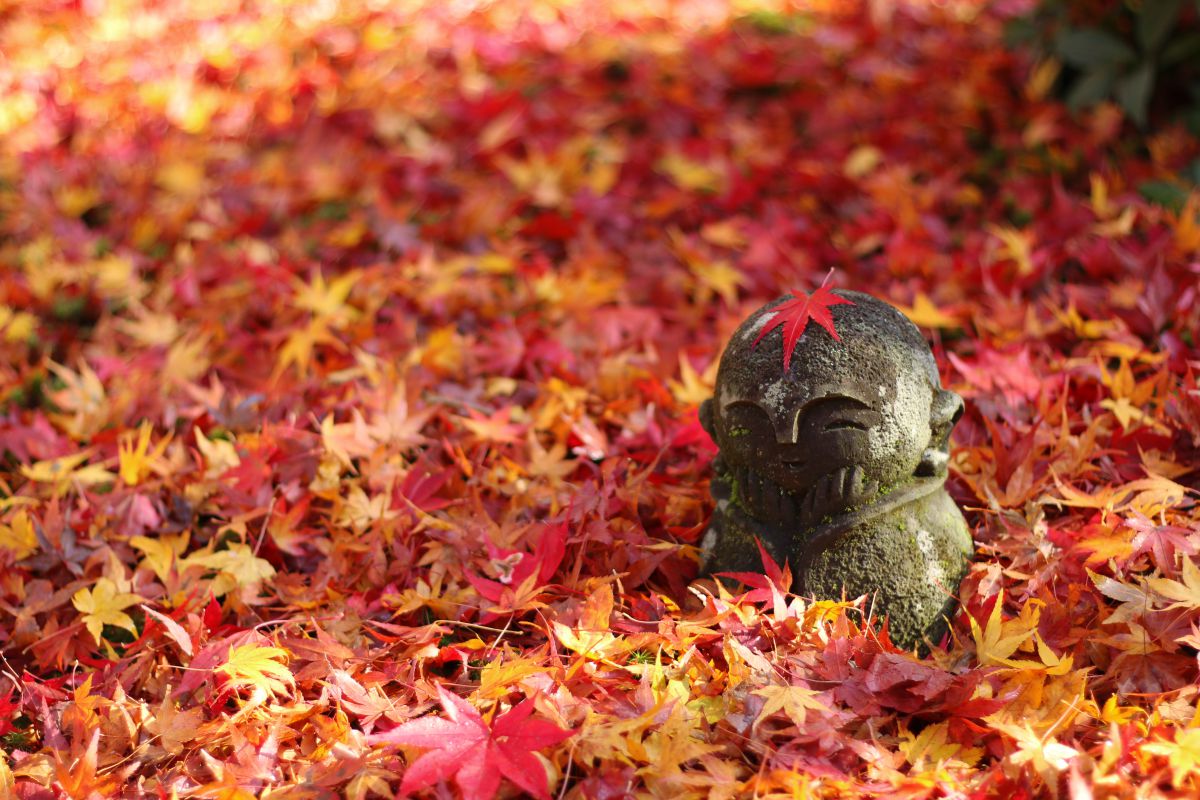 紅葉に囲まれた地蔵 | GANREF