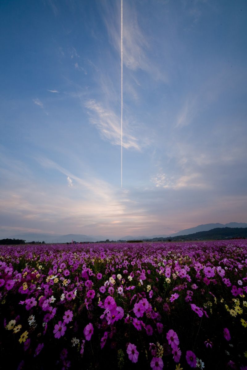 空を切り裂く | GANREF