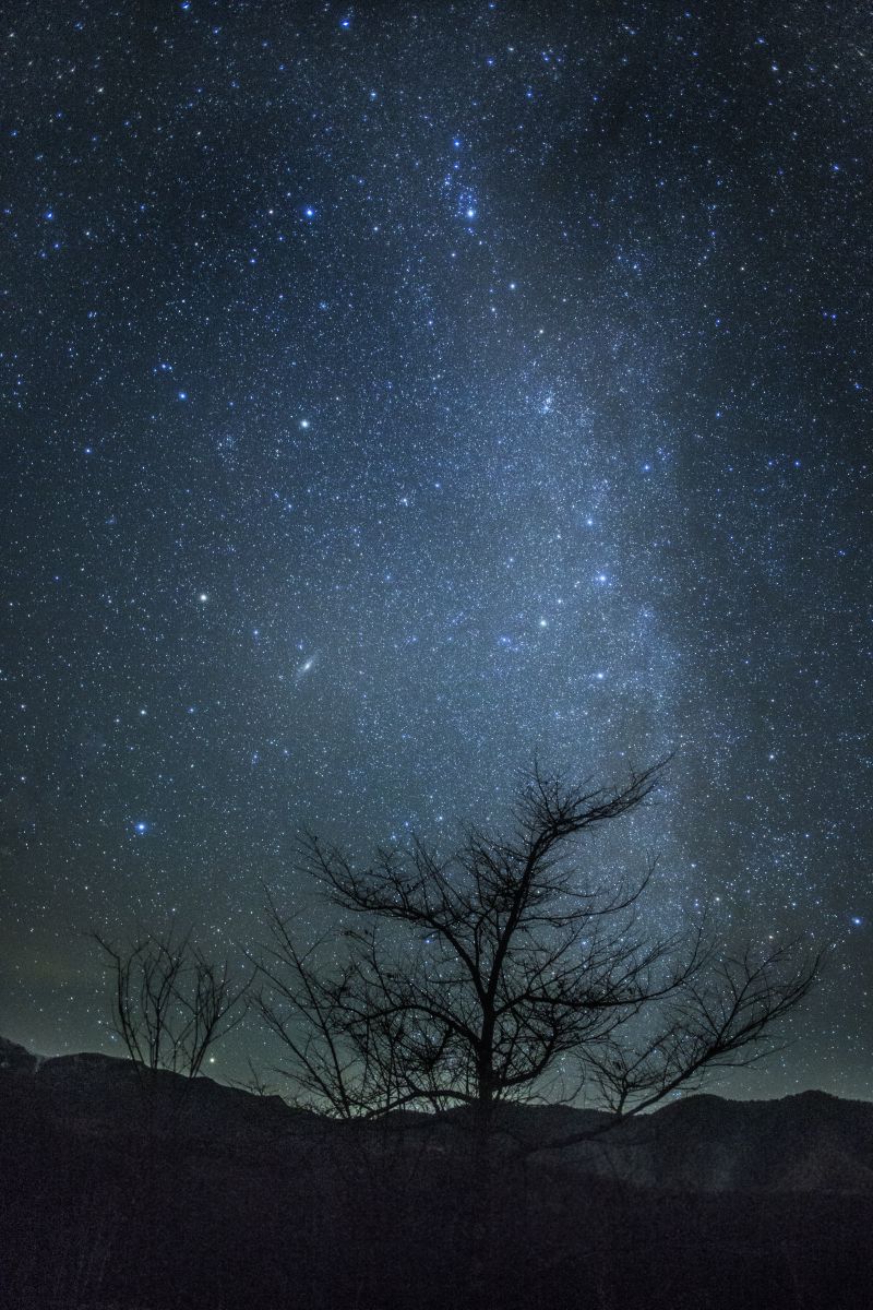 アンドロメダ時代―大星雲への旅 (1959年) 129096: アンドロメダ大星雲 by y.kawaguchi - 天体写真ギャラリー