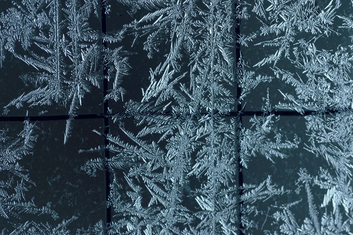 Winter Gift | GANREF
