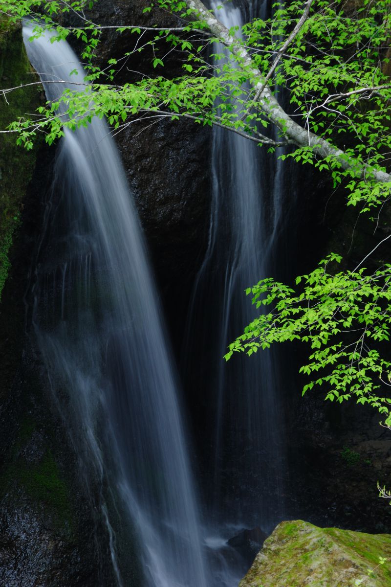 【真作】掛軸　静寂の滝と山里風景　日本画の雅　雄大な自然美　和の癒し　Q107 真作】掛軸静寂の滝と山里風景日本画の雅雄大な自然美和の癒しQ107