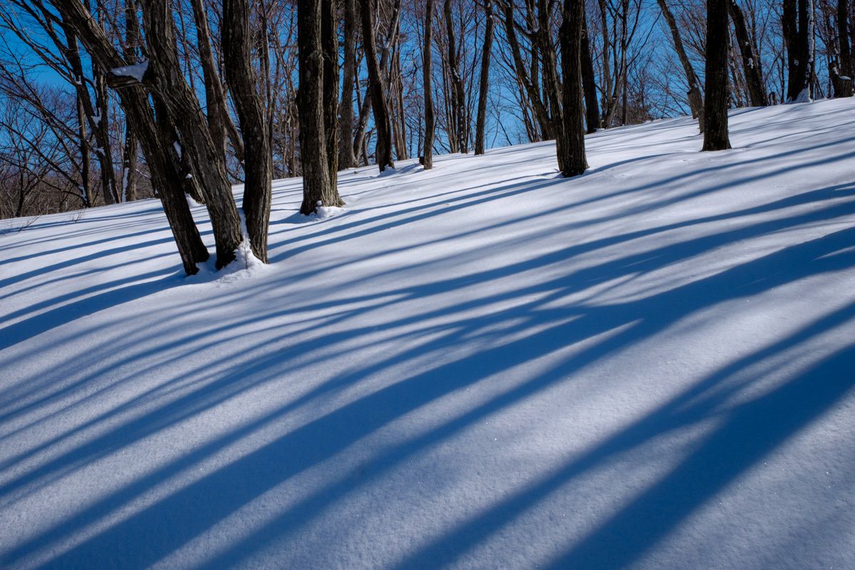 Snow Stripe | GANREF