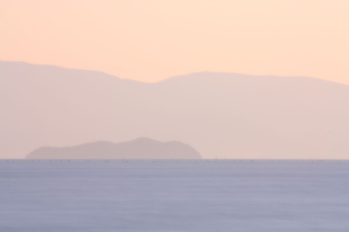 遠くの島 | GANREF