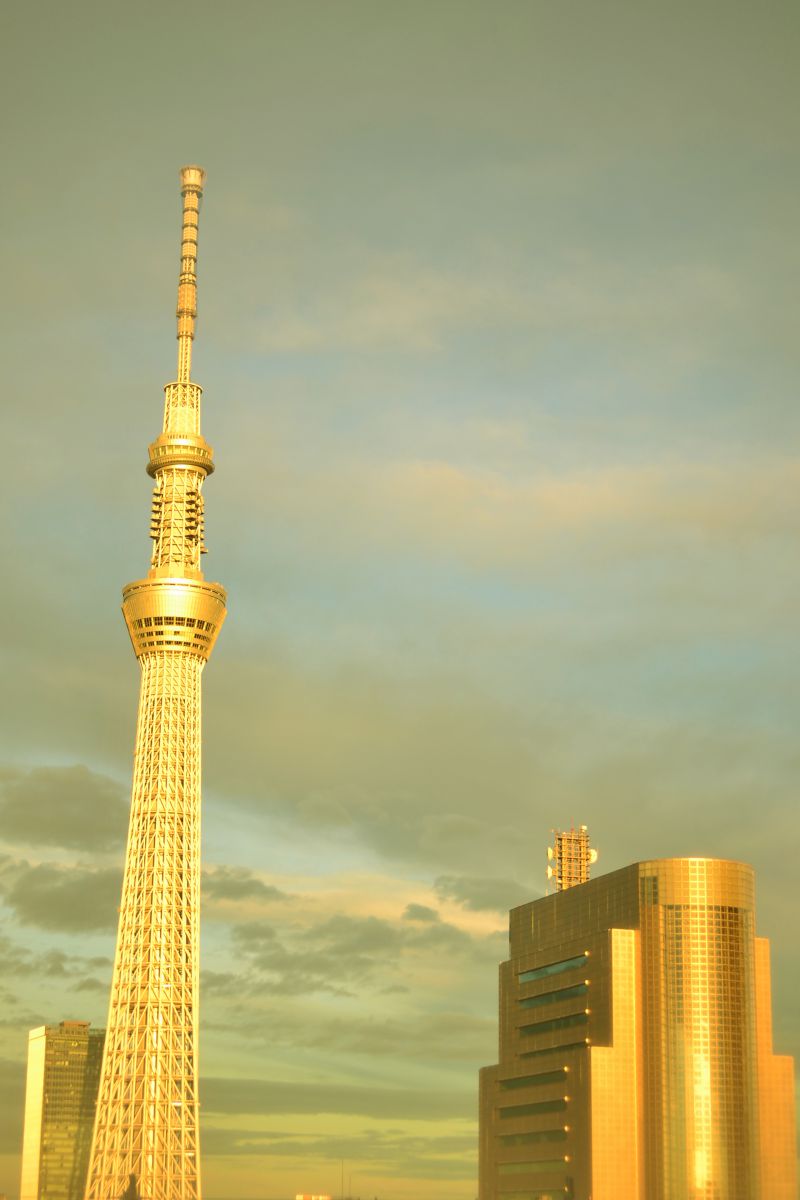 黄金に輝くスカイツリー | GANREF