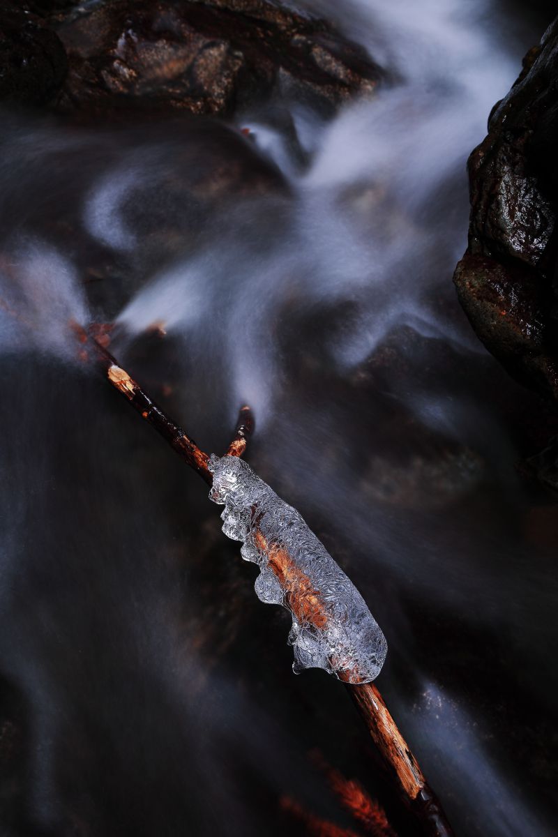 Present of Cold wave | GANREF