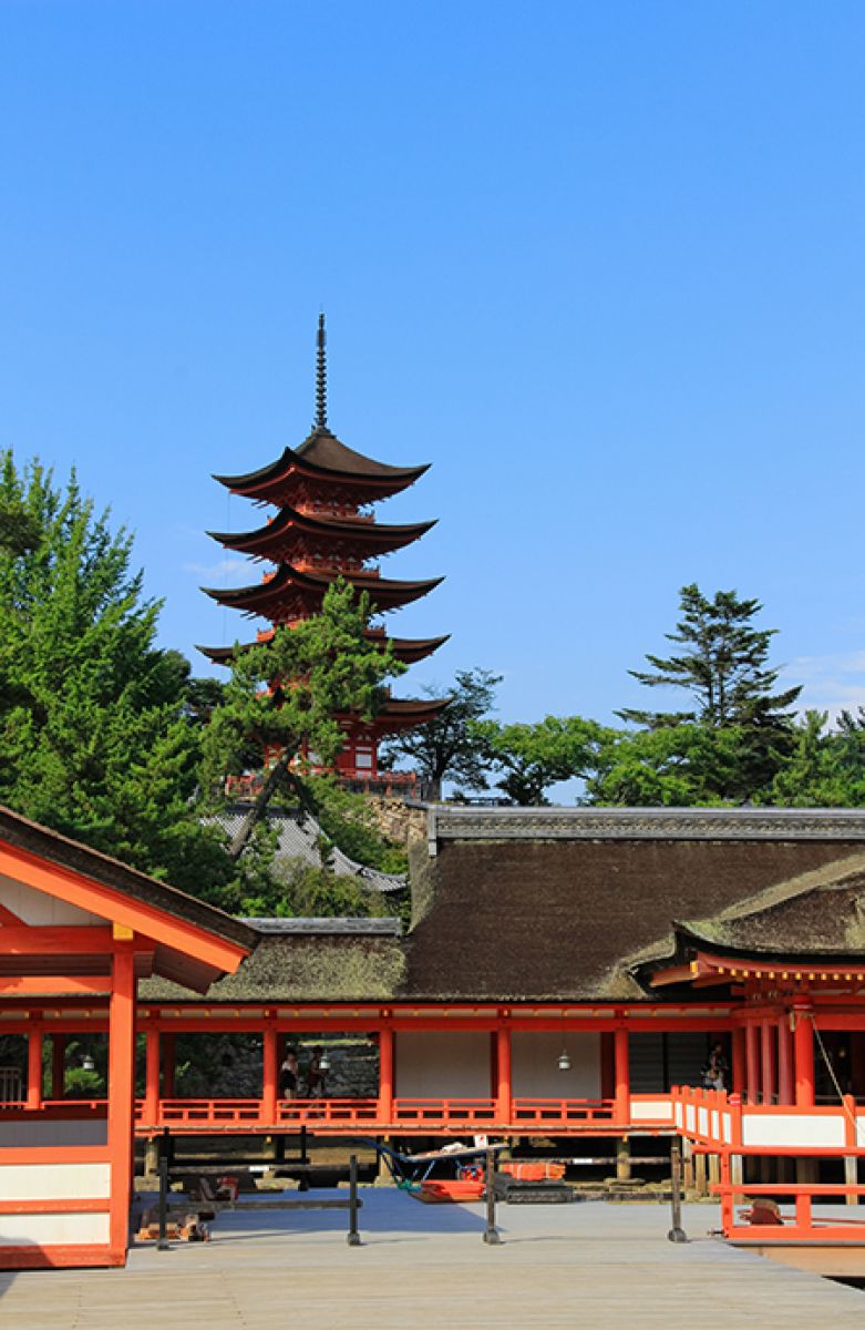 db658abff4c0c167bd221d152d1b93