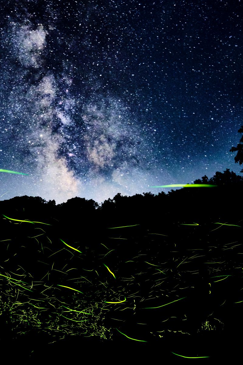 空の川と陸の星 | GANREF