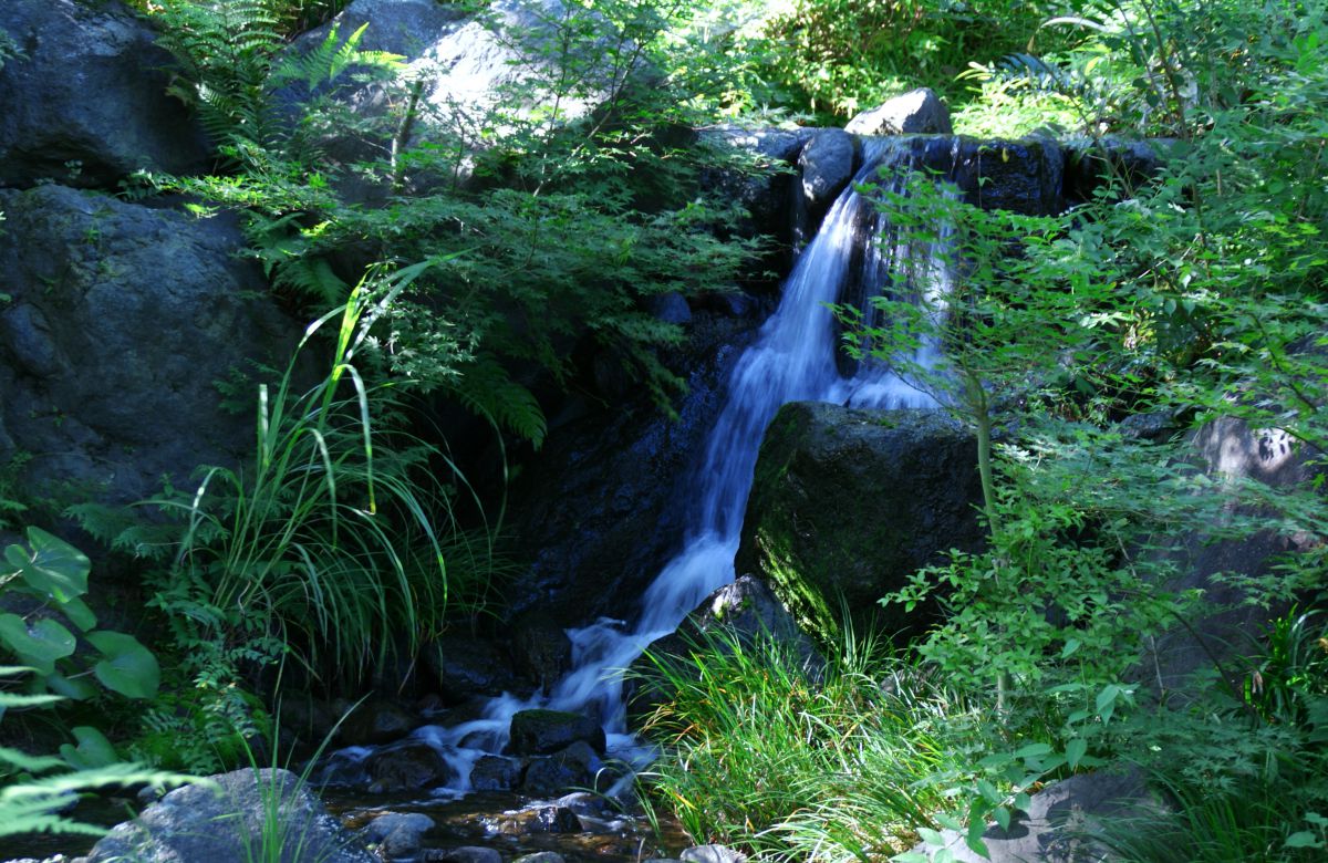 e4b8525ef171c75423b4c6d9f37fd4