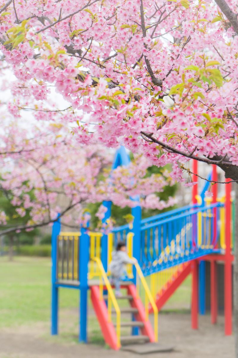 color of spring | GANREF