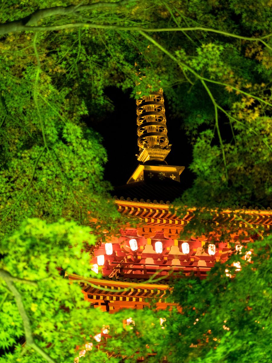 野分の垣間見: 源氏物語 野分の垣間見 – TJTO