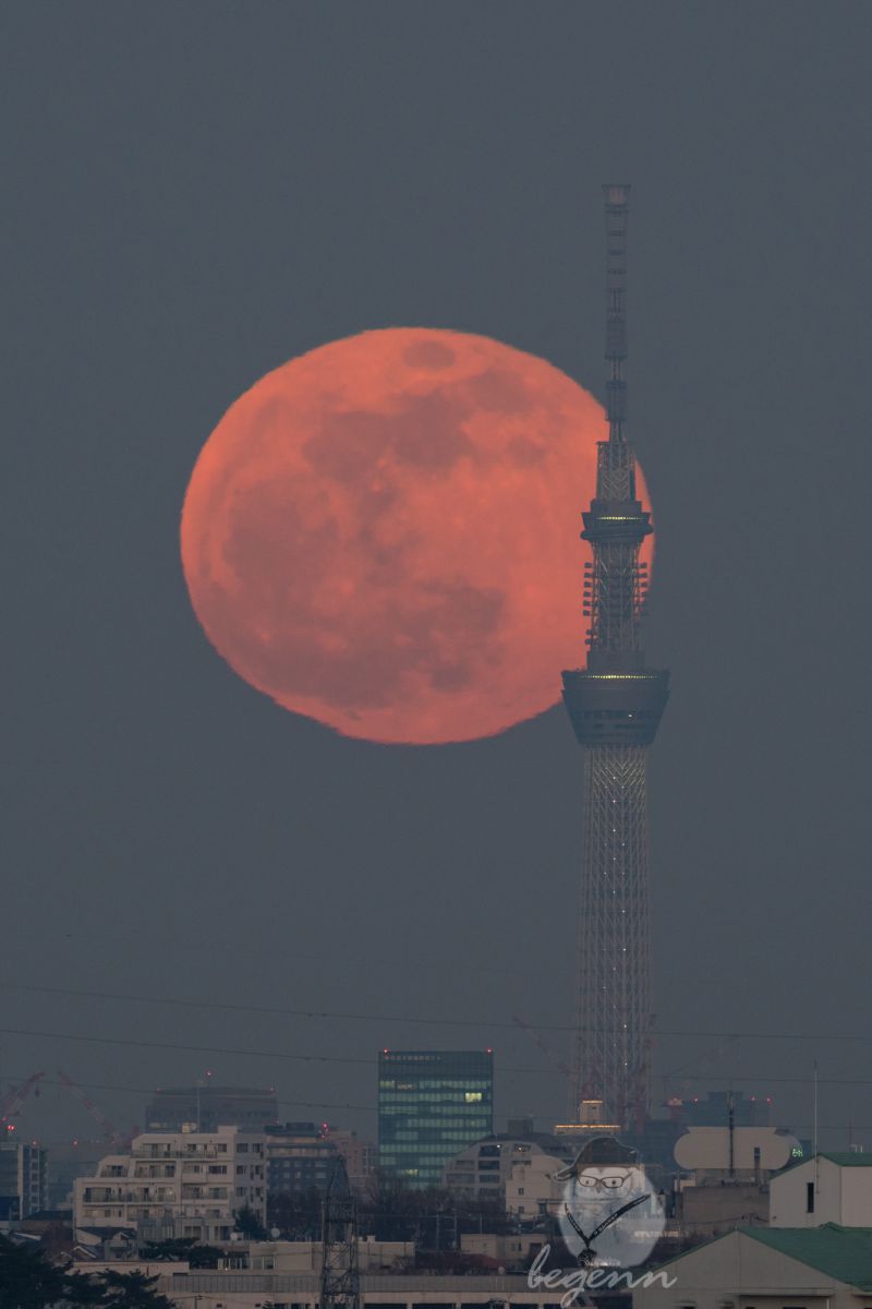 full moon | GANREF