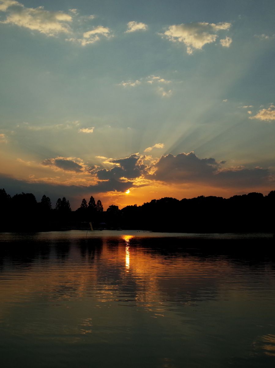Sunset fall | GANREF
