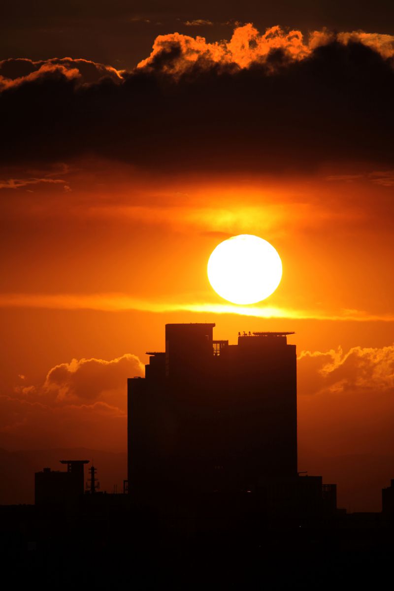 赤い夕陽と黒い大地 : ある日本少年の満州經歴　復刻版 Amazon.co.jp: 赤い夕陽と黒い大地 : ある日本少年の満州經歴