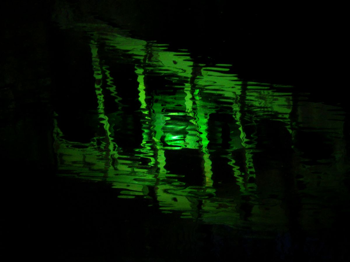 undulate green | GANREF