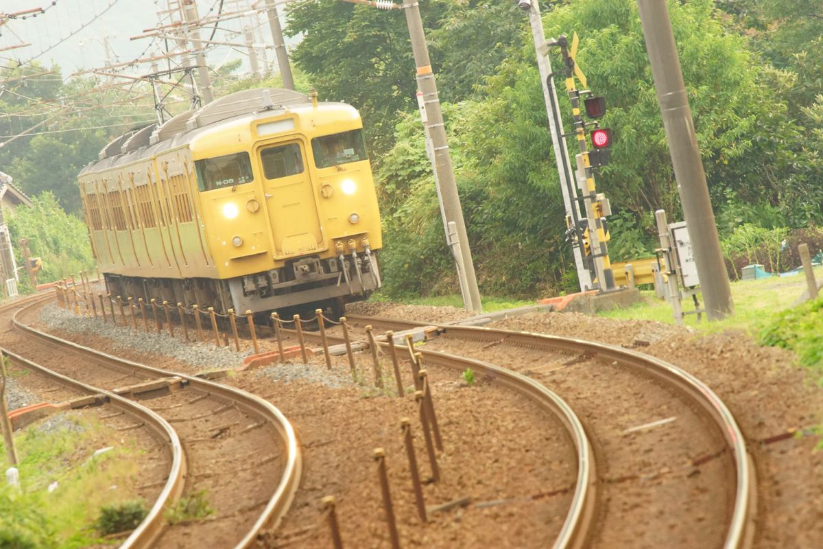 9033cf6cc997aea8d0910edbb539bf