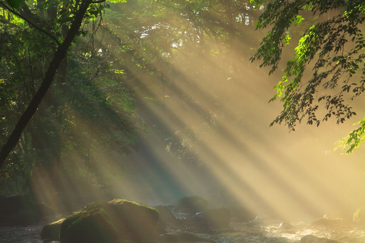 光芒シリーズ end | GANREF