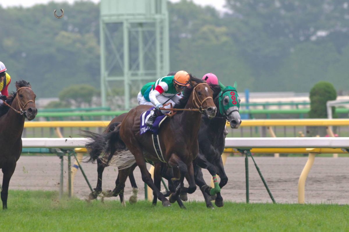 【期限切れ単勝馬券】　第61回　安田記念　リアルインパクト　2011/6/5 期限切れ単勝馬券】第61回安田記念 リアルインパクト 2011/6/5