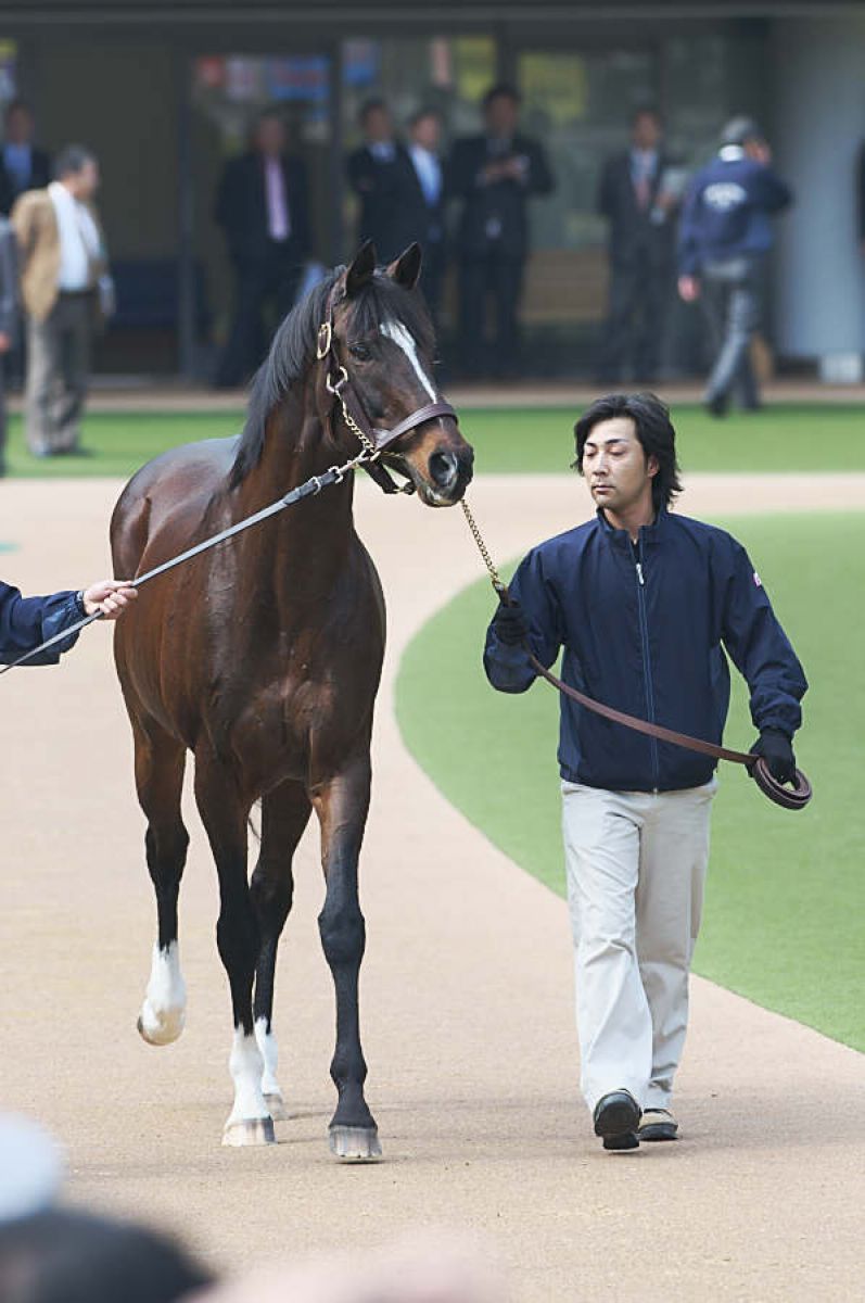 ﾄｳｶｲﾃｲｵｰinパドック | GANREF