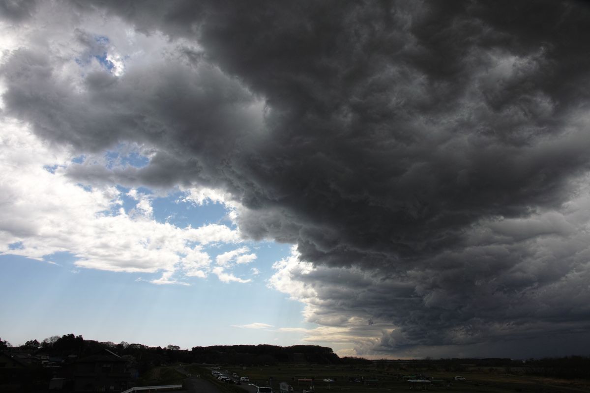 アスペラトゥス? GANREF