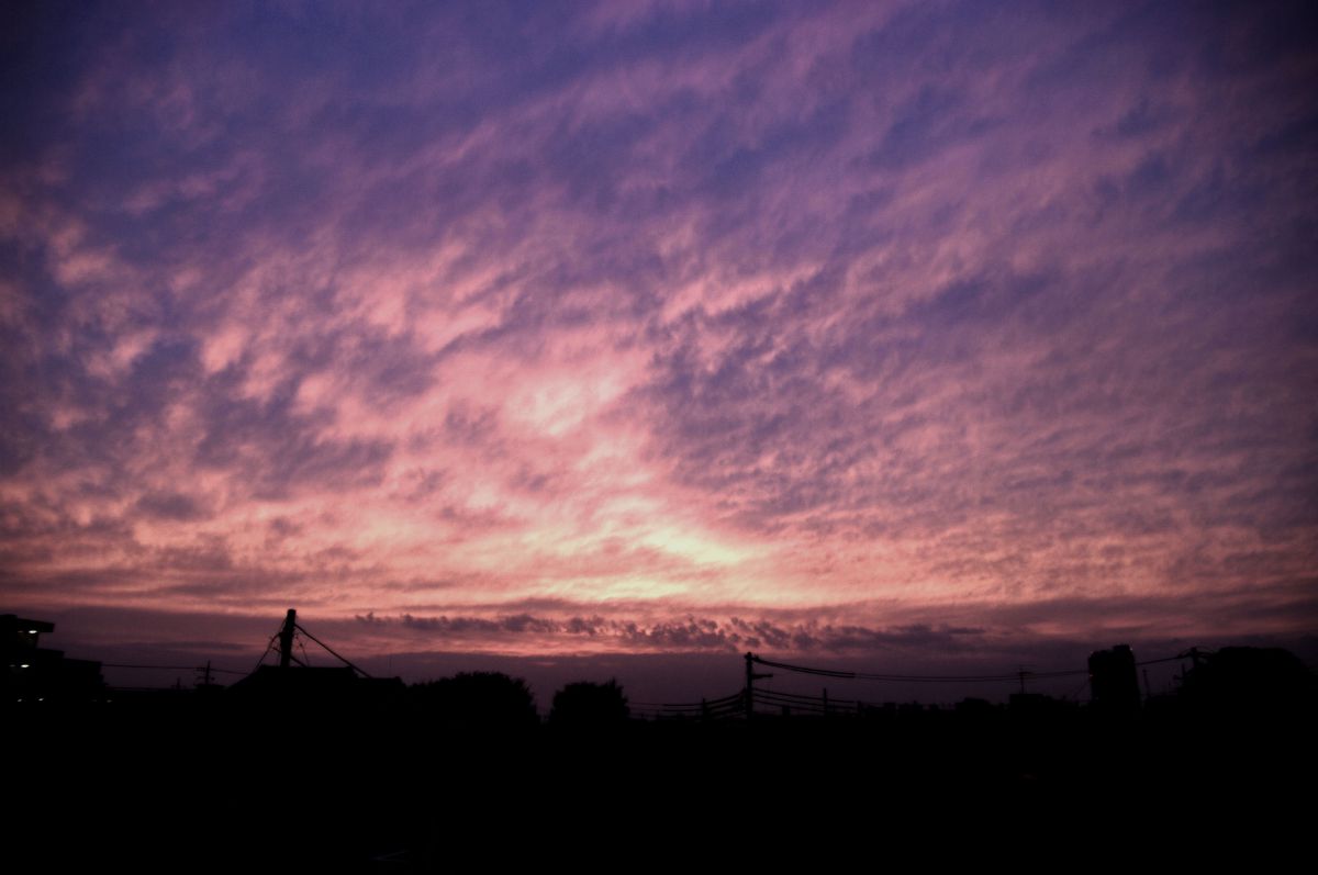 夕枯 | GANREF
