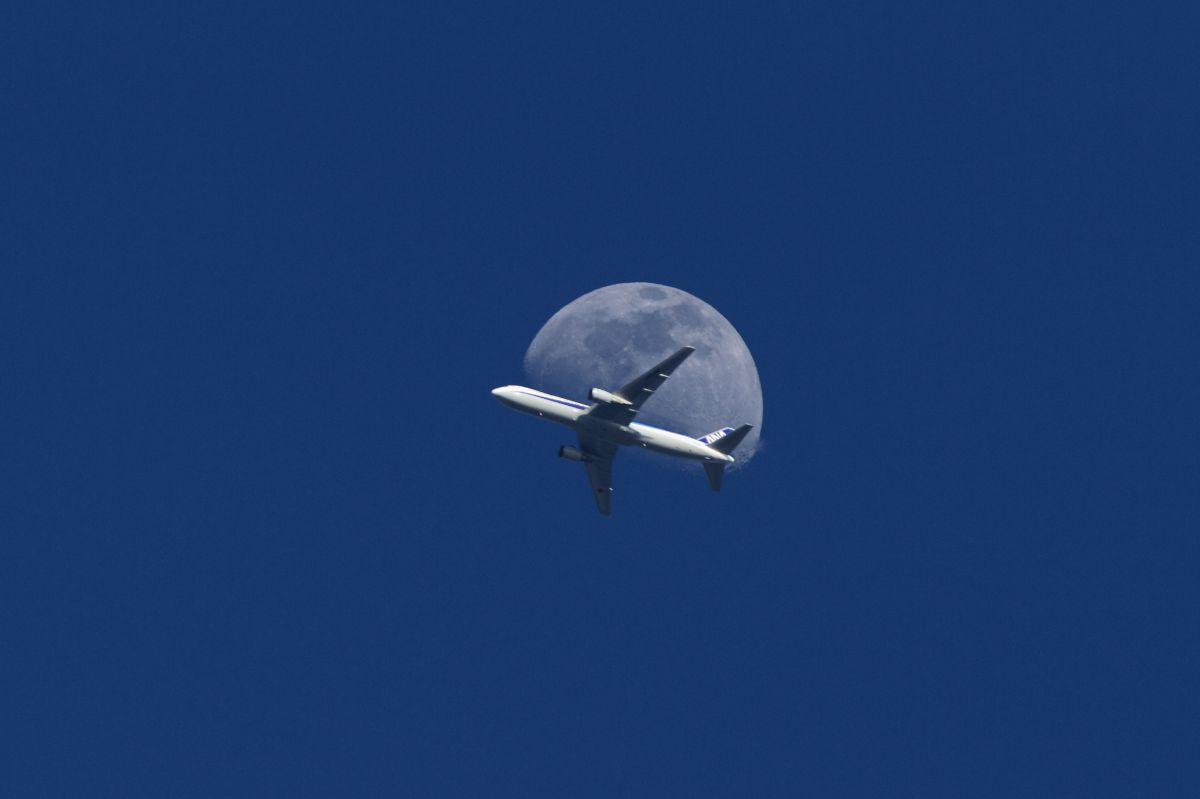 Moon flightⅡ | GANREF