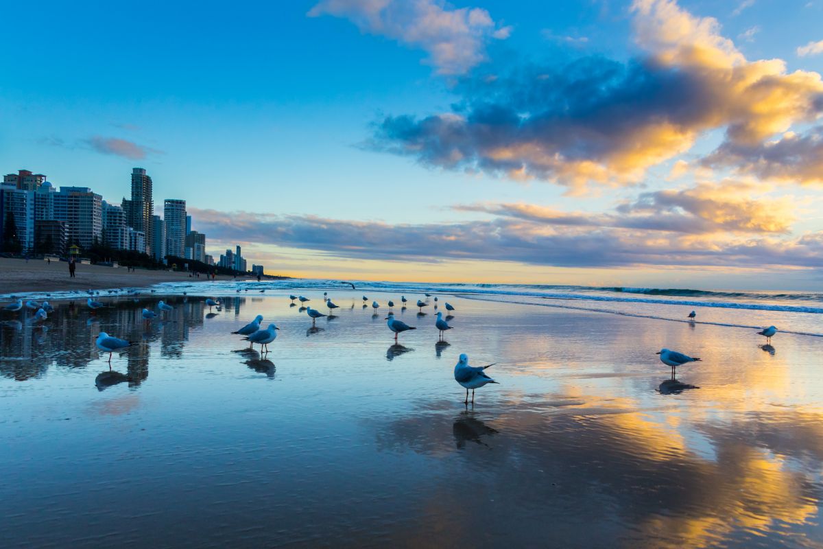 The sand beach | GANREF