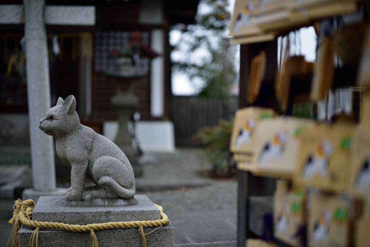 明治時代　神秘的な瞳や猫背、スリムな立ち姿や前掛けが美しい雰囲気抜群の招き猫 c89d6a415f862332da07dfbdbe8bb9