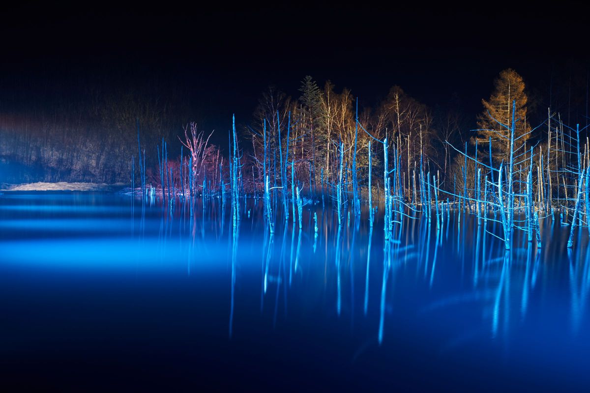 winter blue | GANREF
