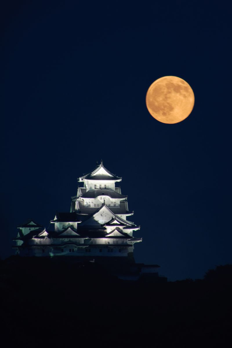 with Blue Moon | GANREF