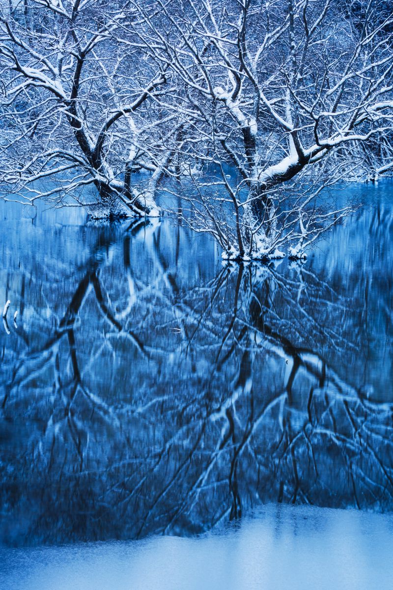 Crystal Snow | GANREF