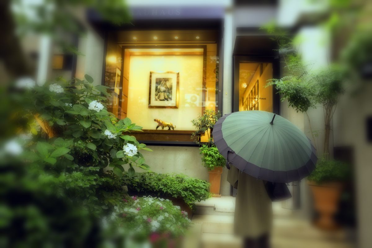 夏時雨 | GANREF