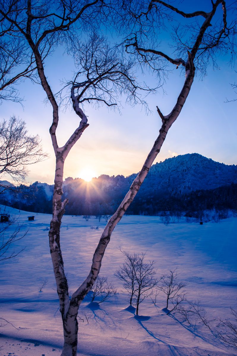 サンダウン GANREF