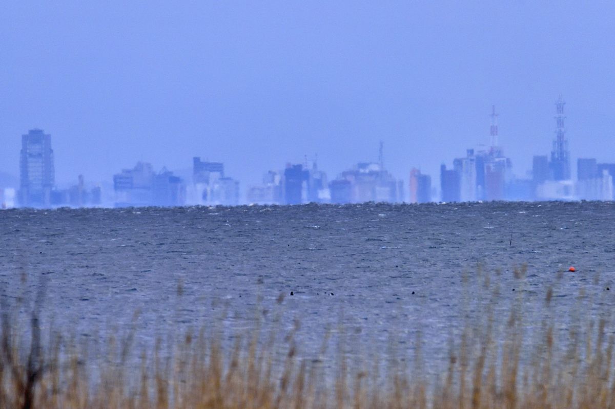 蜃気楼の町松江 | GANREF