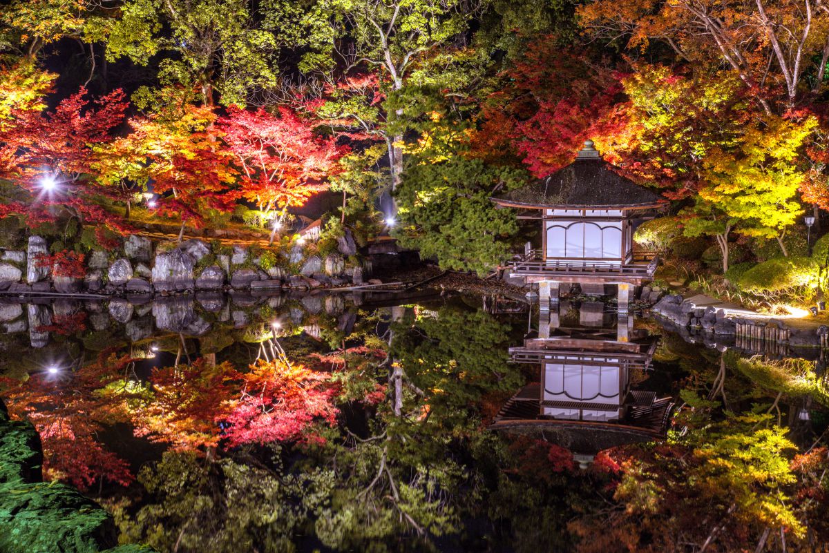 reflection | GANREF