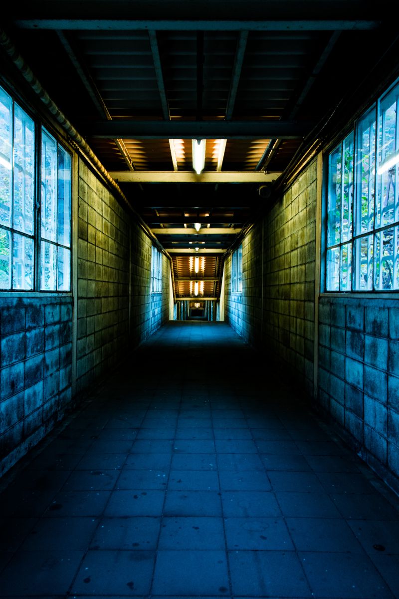 The Gate | GANREF