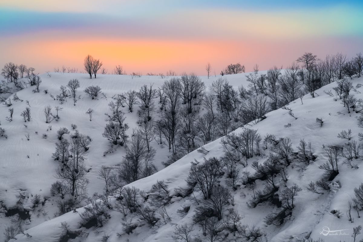 Winter color | GANREF