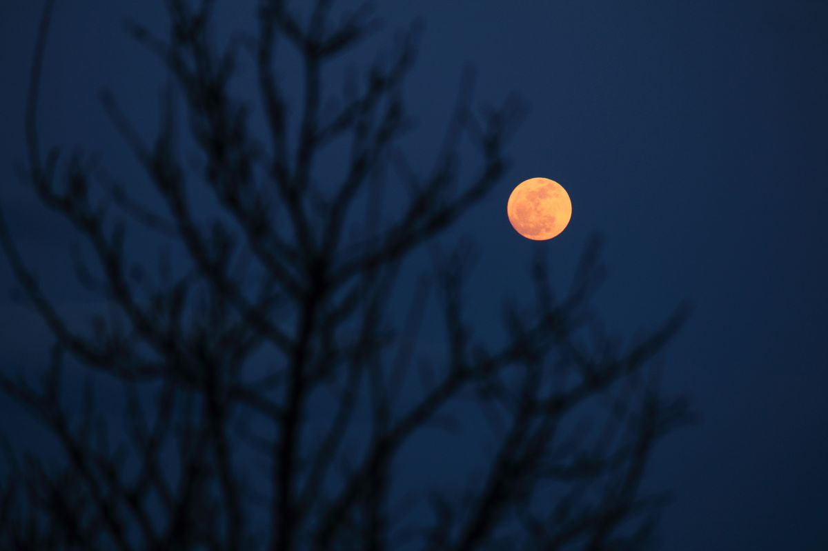 Full Moon | GANREF