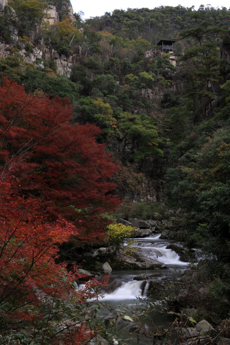 晩秋の豪渓2 GANREF