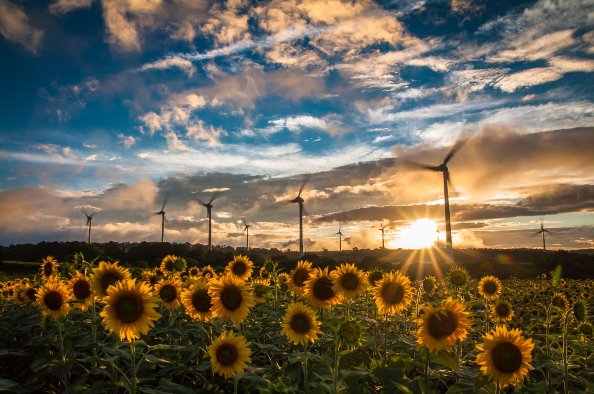 過ぎ行く夏風 自然 風景 高原 Ganref