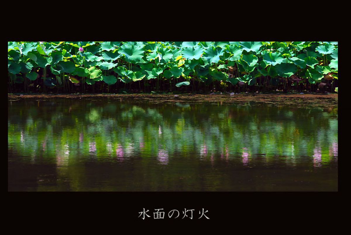 水面のともし火 | GANREF